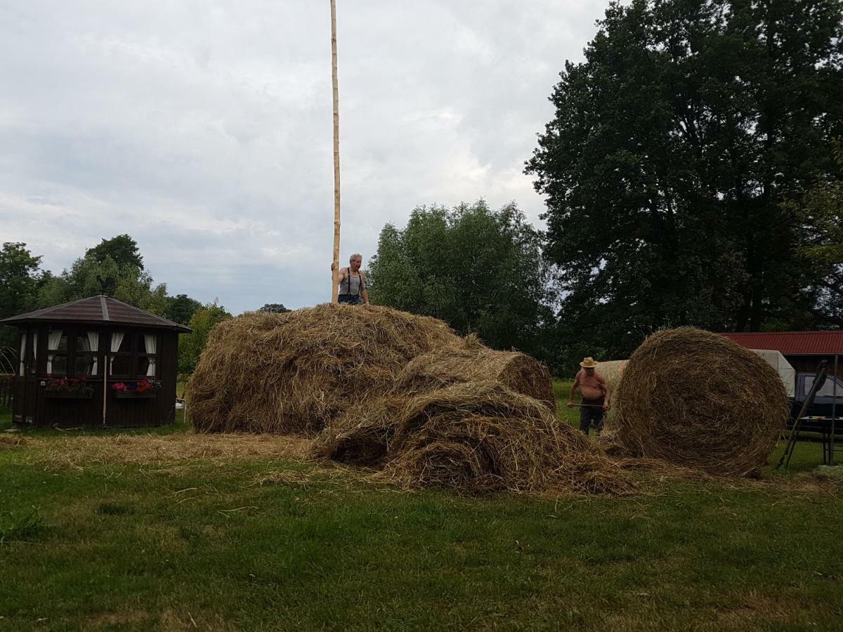 Ferienwohnung Zum Heuschober Burg im Spreewald Eksteriør billede